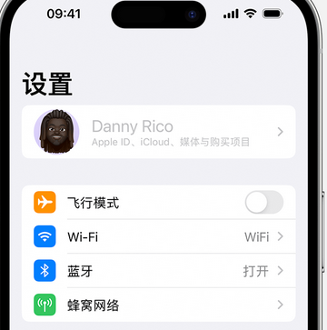 望牛墩镇appleID维修服务iPhone设置中Apple ID显示为灰色无法使用