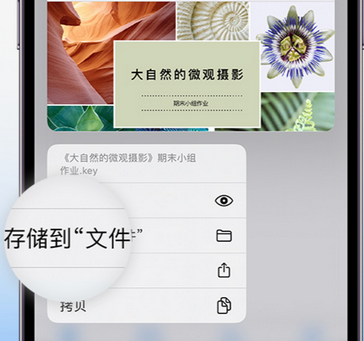 望牛墩镇apple维修中心分享iPhone文件应用中存储和找到下载文件