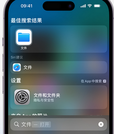 望牛墩镇apple维修中心分享iPhone文件应用中存储和找到下载文件