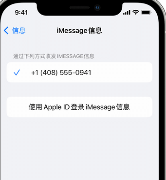 望牛墩镇apple维修iPhone上无法正常发送iMessage信息 