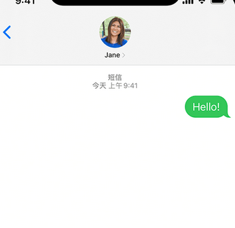 望牛墩镇apple维修iPhone上无法正常发送iMessage信息