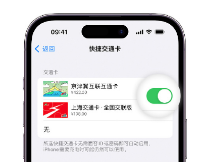 望牛墩镇apple维修点分享iPhone上更换Apple Pay快捷交通卡手绘卡面 