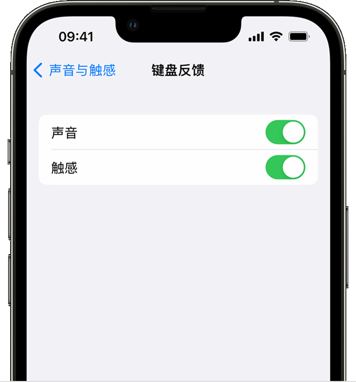 望牛墩镇苹果14维修店分享如何在 iPhone 14 机型中使用触感键盘 