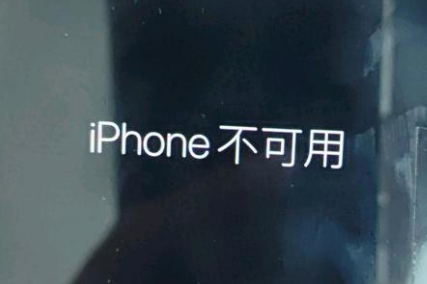 望牛墩镇苹果服务网点分享锁屏界面显示“iPhone 不可用”如何解决 