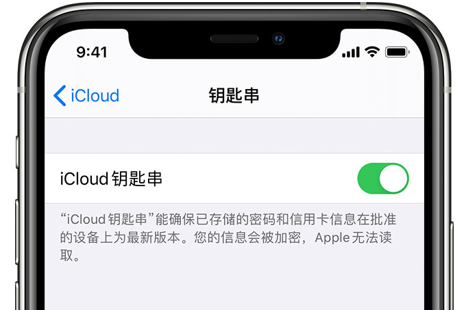 望牛墩镇苹果手机维修分享在 iPhone 上开启 iCloud 钥匙串之后会储存哪些信息 