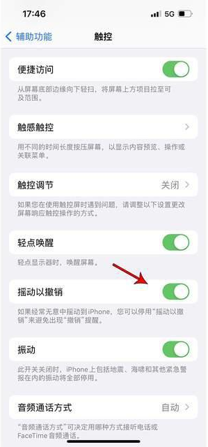 望牛墩镇苹果手机维修分享iPhone手机如何设置摇一摇删除文字 